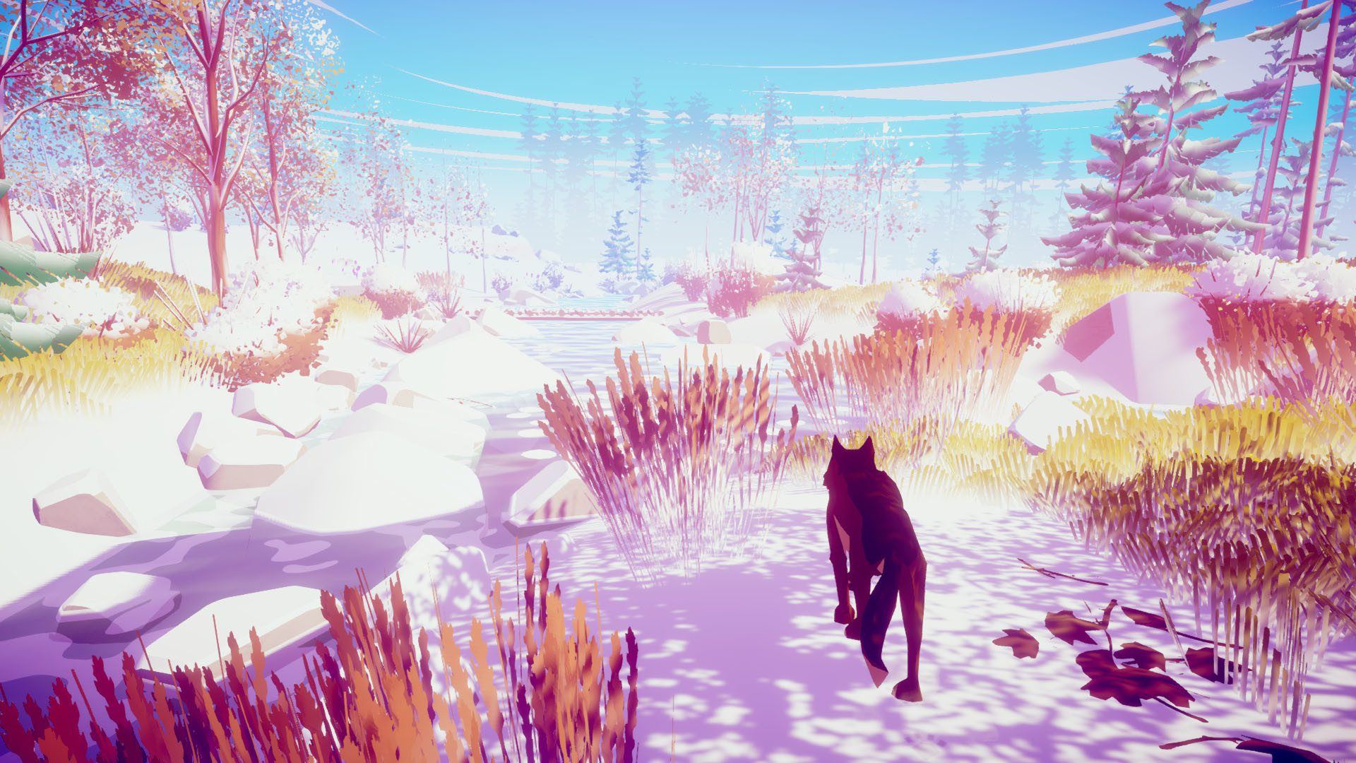 我的狼-桌面交互式3D动态壁纸虚拟野生宠物(仅适用于Windows10)-8 我的狼-桌面交互式3D动态壁纸虚拟野生宠物(仅适用于Windows10)-8