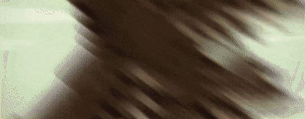 大江湖之苍龙与白鸟 | The World Of Kong Fu-2